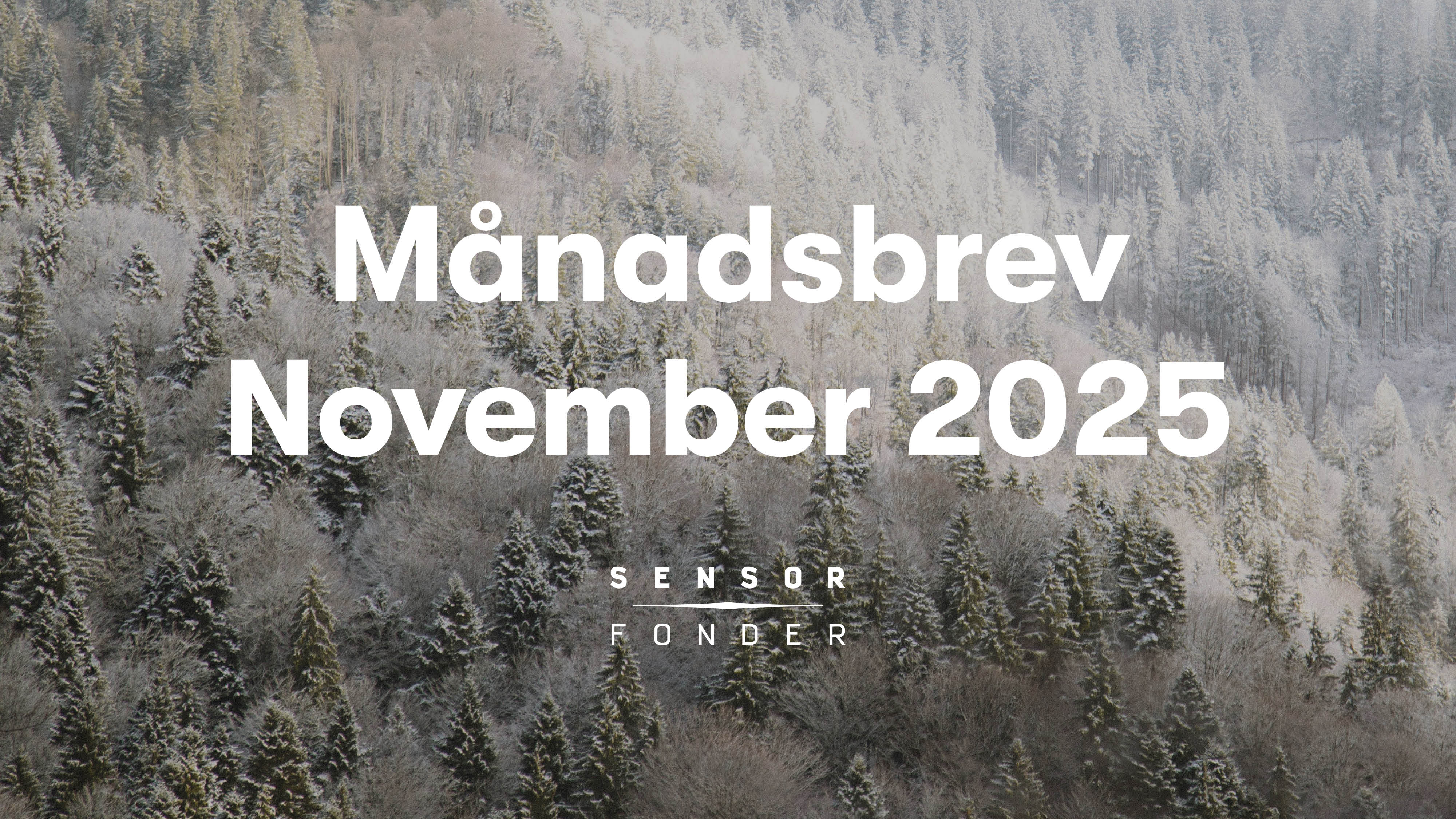 Månadsbrev november 2025