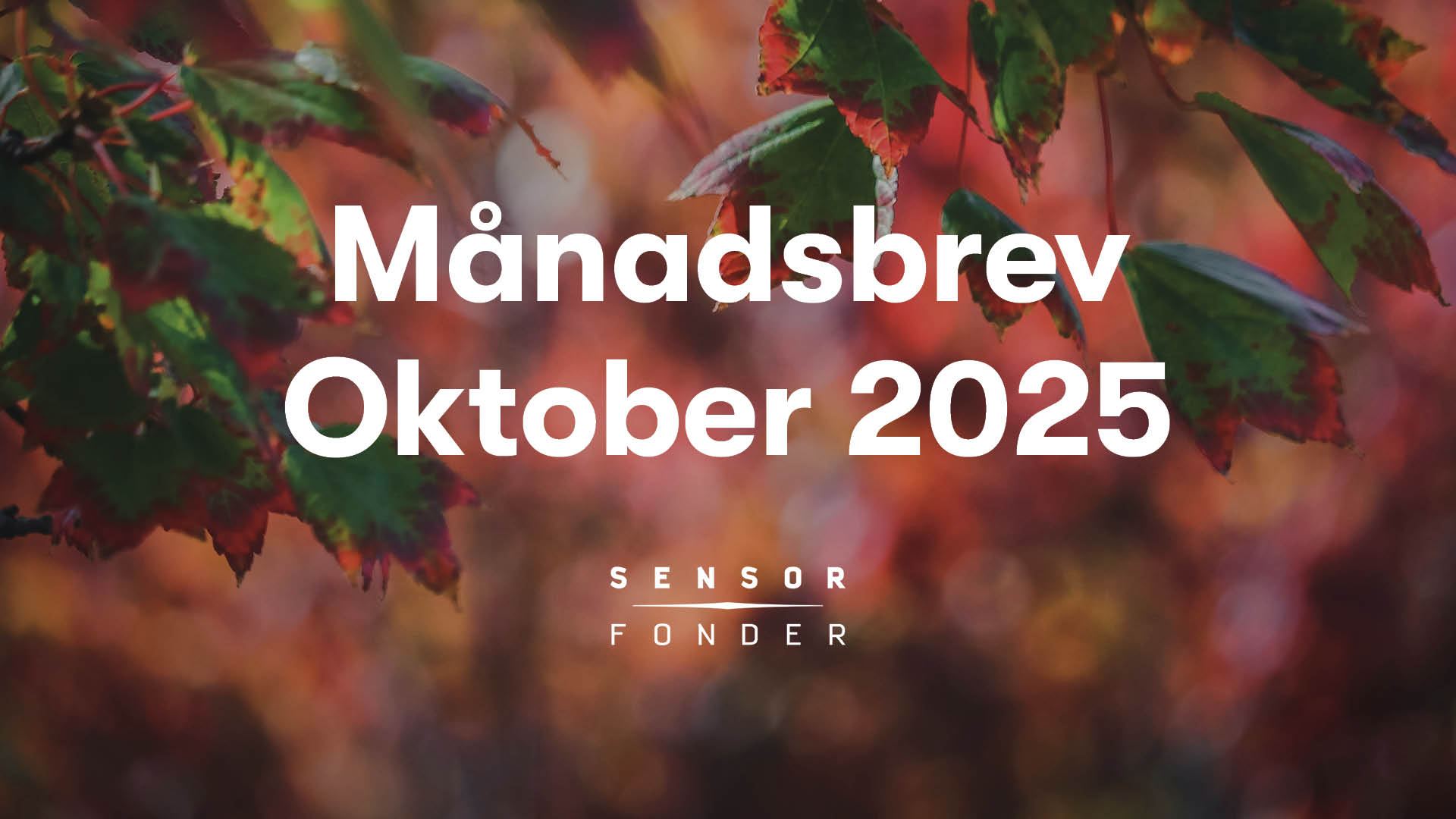 Månadsbrev oktober 2025