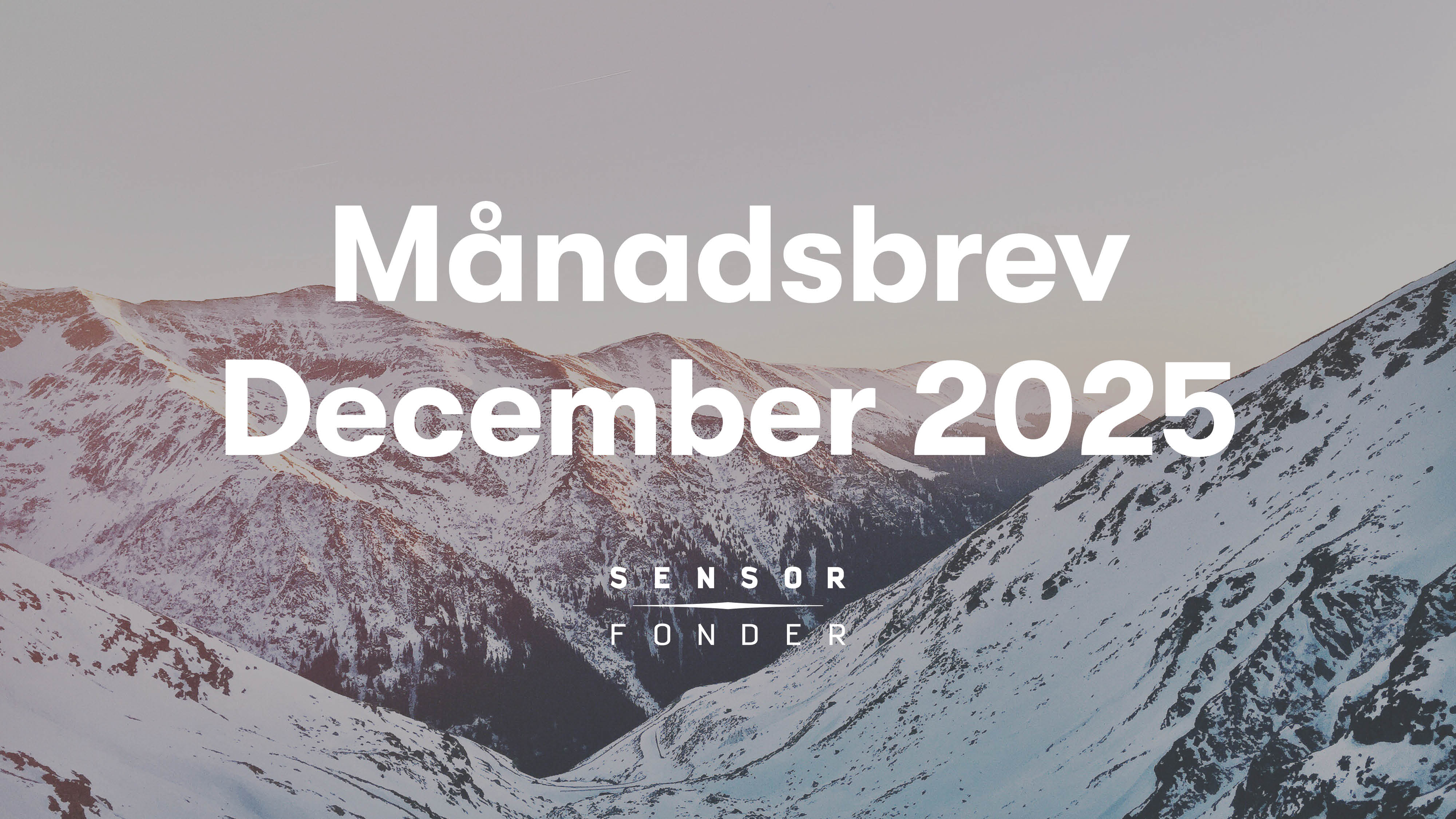 Månadsbrev december 2025